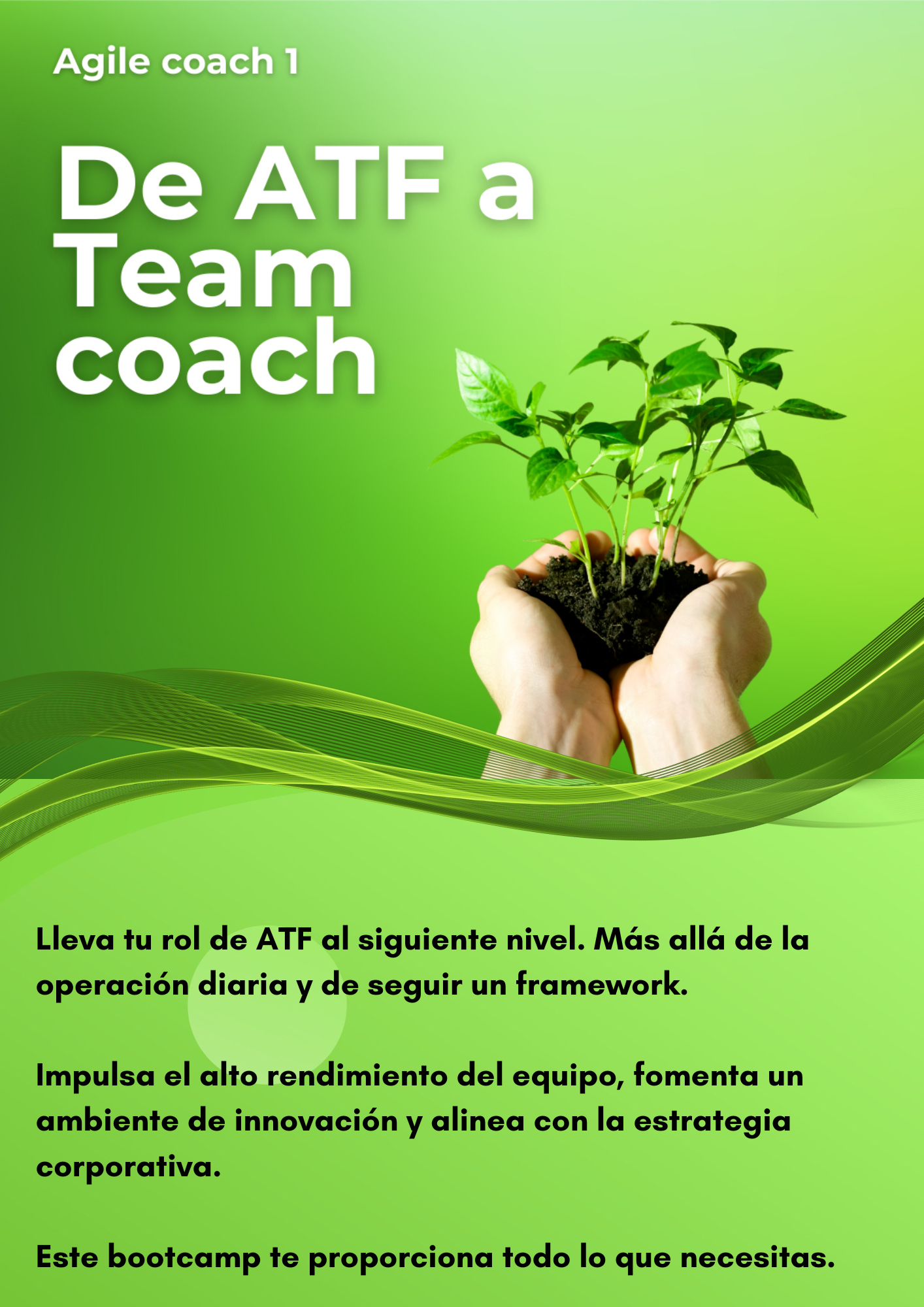 Agile coaches 1