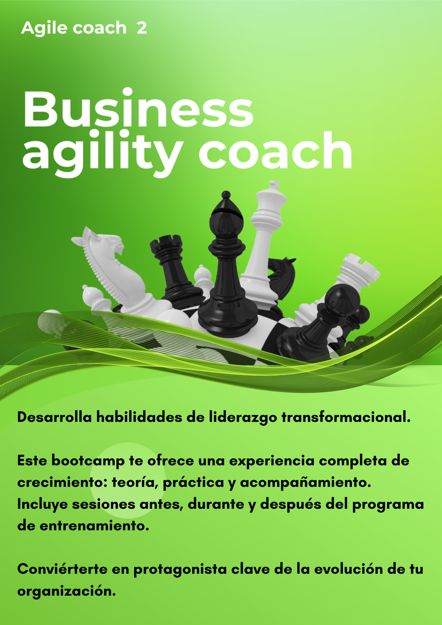 Agile coaches 2